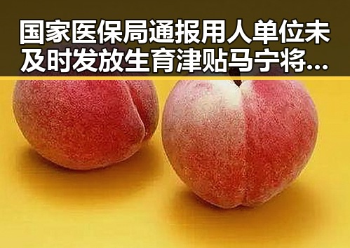 国家医保局通报用人单位未及时发放生育津贴 马宁将主哨世界杯小组赛第二轮