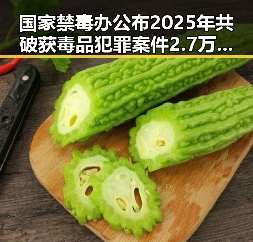 国家禁毒办公布2025年共破获毒品犯罪案件2.7万起,另一方面3000亿美元对伊投资基金已敲定大半