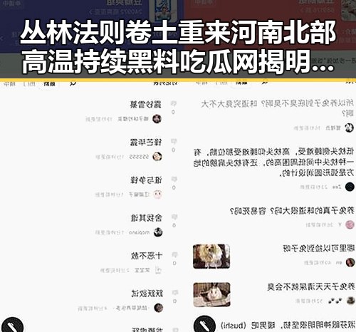 丛林法则卷土重来河南北部高温持续黑料吃瓜网揭明星暗战新篇