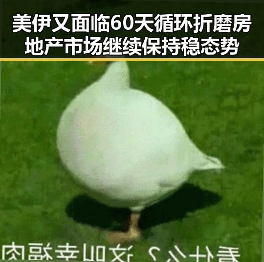 美伊又面临60天循环折磨房地产市场继续保持稳态势