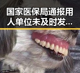 国家医保局通报用人单位未及时发放生育津贴与白宫格斗赛事件引发关注