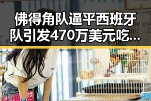 佛得角队逼平西班牙队引发470万美元吃瓜热潮,京东外卖回应引发网友关注