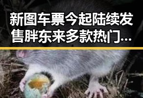 新图车票今起陆续发售 胖东来多款热门自营产品价格下调引关注