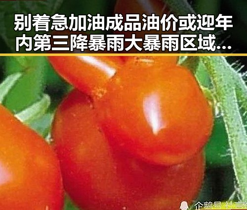别着急加油成品油价或迎年内第三降暴雨大暴雨区域或转移引发关注
