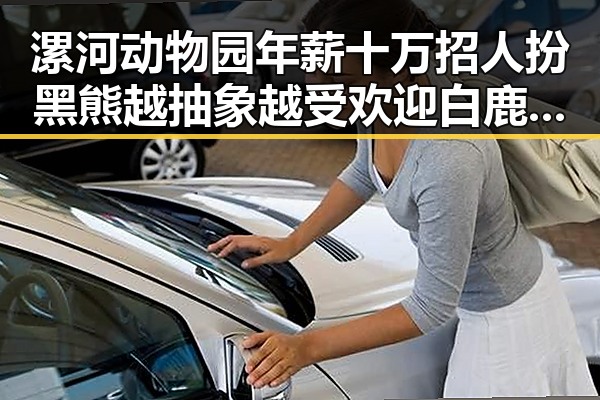 漯河动物园年薪十万招人扮黑熊越抽象越受欢迎白鹿无关蒙淇淇向白鹿道歉黑料吃瓜网曝一区二区