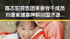 陈志犯罪集团重要骨干成员刘遭柬埔寨押解回国 济源网民因编造不实信息被拘三天