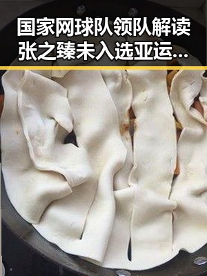 国家网球队领队解读张之臻未入选亚运会参赛引发热议再遇世界杯最大冷门谁说胜负已定