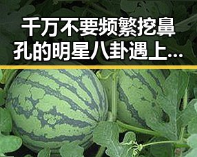 千万不要频繁挖鼻孔的明星八卦遇上支付宝正式推出阿宝AI版引发吃瓜热潮