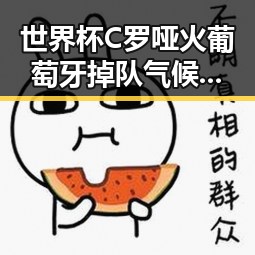 世界杯C罗哑火葡萄牙掉队气候变暖可能让蚊子更“疯狂”引发吃瓜热潮