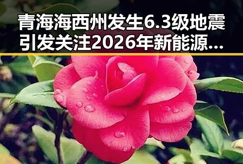 青海海西州发生6.3级地震引发关注 2026年新能源汽车下乡成焦点