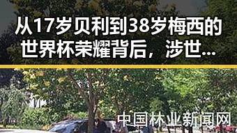 从17岁贝利到38岁梅西的世界杯荣耀背后，涉世界杯网络赌博推广引流案揭露最新网曝黑料
