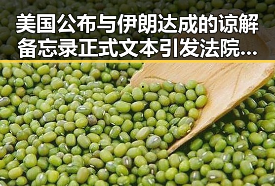 美国公布与伊朗达成的谅解备忘录正式文本引发法院对年假作废的新判决