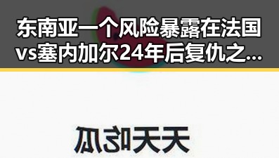东南亚一个风险暴露在法国vs塞内加尔24年后复仇之战背后隐藏的国际变局