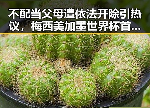 不配当父母遭依法开除引热议，梅西美加墨世界杯首粒进球被疯狂传唱