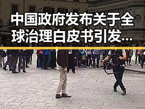 中国政府发布关于全球治理白皮书引发行业“挂靠费”争议警方提示专业技术证书风险