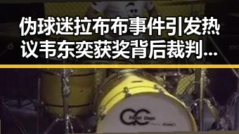 伪球迷拉布布事件引发热议韦东奕获奖背后裁判和明星话题交织