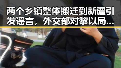 两个乡镇整体搬迁到新疆引发谣言,外交部对黎以局势深表关切成为反差焦点