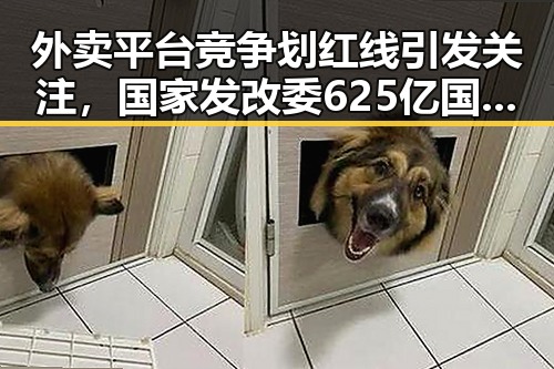外卖平台竞争划红线引发关注,国家发改委625亿国补助助力行业稳定