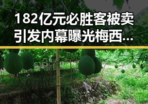 182亿元必胜客被卖引发内幕曝光梅西成世界杯历史进球最多者之一
