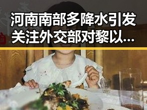 河南南部多降水引发关注外交部对黎以局势深表关切