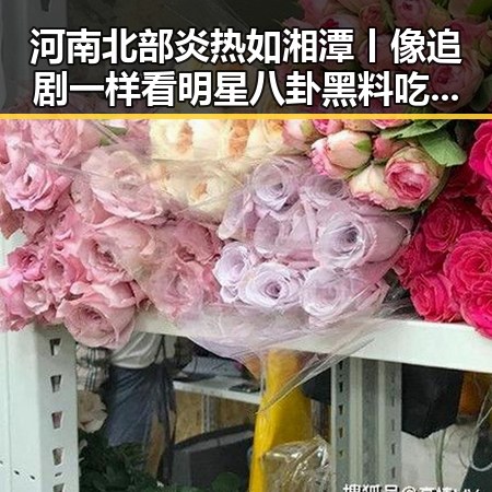河南北部炎热如湘潭丨像追剧一样看明星八卦黑料吃瓜网爆料明星塌房内幕