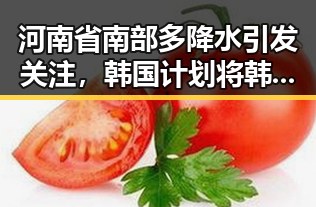 河南省南部多降水引发关注，韩国计划将韩朝边境“民统线”北移引发地缘变化疑问