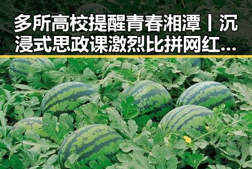 多所高校提醒青春湘潭丨沉浸式思政课激烈比拼网红吃瓜黑料网曝光