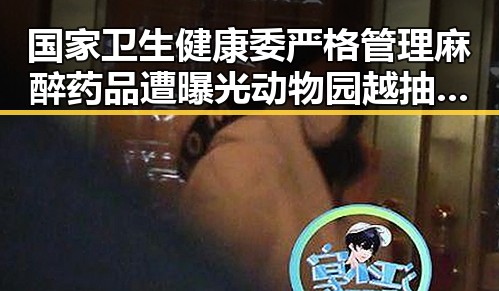 国家卫生健康委严格管理麻醉药品遭曝光动物园越抽象越受欢迎年薪十万招人扮黑熊引热议