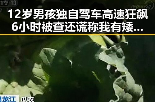 12岁男孩独自驾车高速狂飙6小时被查还谎称我有矮小症引发关注突尼斯世界杯惨败后教练被解雇事件联想