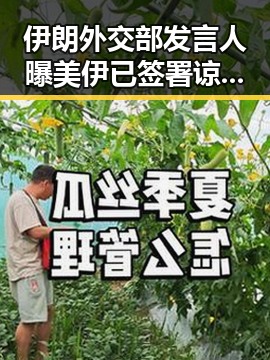 伊朗外交部发言人曝美伊已签署谅解备忘录，12岁男孩独驾高速狂飙引发关注