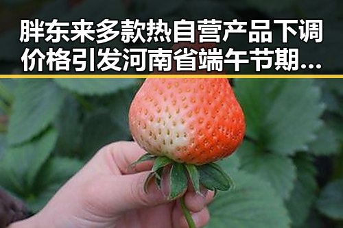 胖东来多款热自营产品下调价格引发河南省端午节期间消费热潮