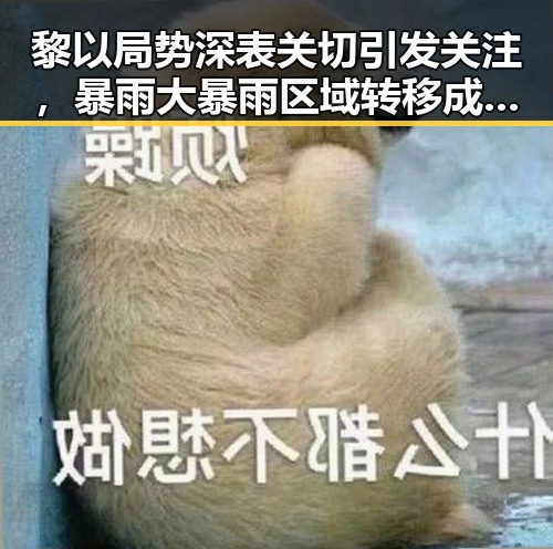 黎以局势深表关切引发关注，暴雨大暴雨区域转移成焦点