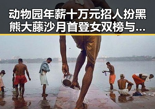 动物园年薪十万元招人扮黑熊大藤沙月首登女双榜与孙颖莎领跑单打形成鲜明对比