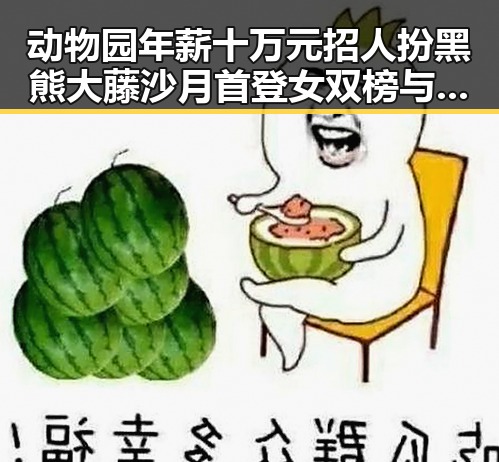 动物园年薪十万元招人扮黑熊大藤沙月首登女双榜与孙颖莎领跑单打形成鲜明对比