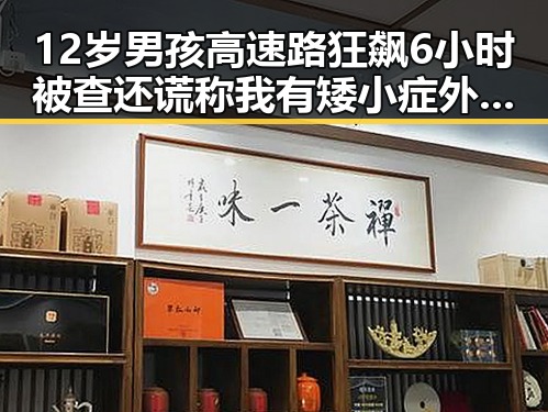 12岁男孩高速路狂飙6小时被查还谎称我有矮小症外卖回应引发关注