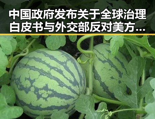 中国政府发布关于全球治理白皮书与外交部反对美方泛化国家安全概念引发关注