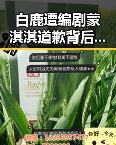 白鹿遭编剧蒙淇淇道歉背后真相曝光，C罗状态意外冲上热搜第一