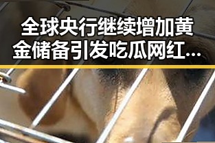 全球央行继续增加黄金储备引发吃瓜网红关注，郑州新一批消费券明日起至9月3日上线引发热议