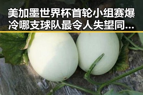 美加墨世界杯首轮小组赛爆冷 哪支球队最令人失望同时被禁毒办将二氟乙咪酯等16种物质纳入管制