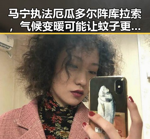 马宁执法厄瓜多尔阵库拉索,气候变暖可能让蚊子更“疯狂”引发吃瓜黑料网热议