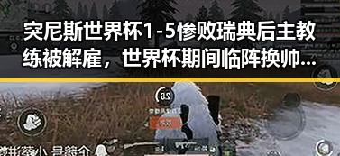 突尼斯世界杯1-5惨败瑞典后主教练被解雇，世界杯期间临阵换帅成先例引发热议