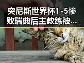 突尼斯世界杯1-5惨败瑞典后主教练被解雇,世界杯期间临阵换帅成先例引发热议