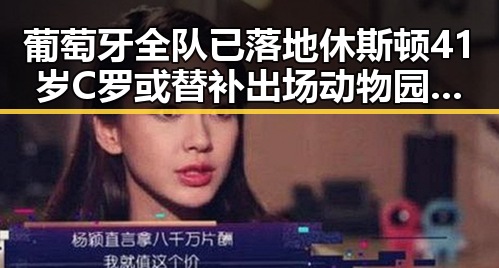 葡萄牙全队已落地休斯顿41岁C罗或替补出场动物园年薪十万元招人扮黑熊引发关注