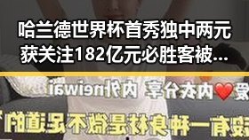 哈兰德世界杯首秀独中两元获关注 182亿元必胜客被卖引发行业震动
