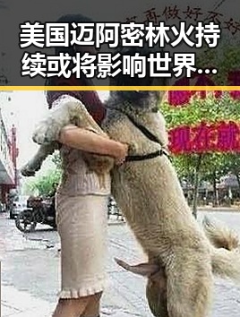 美国迈阿密林火持续或将影响世界杯赛事暴雨大暴雨区域将转移