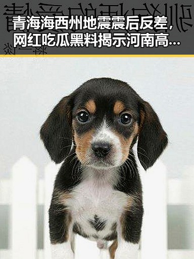青海海西州地震震后反差，网红吃瓜黑料揭示河南高温背后暗影