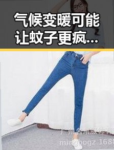气候变暖可能让蚊子更疯狂警方双视角解读骗子如何让你乖乖转账