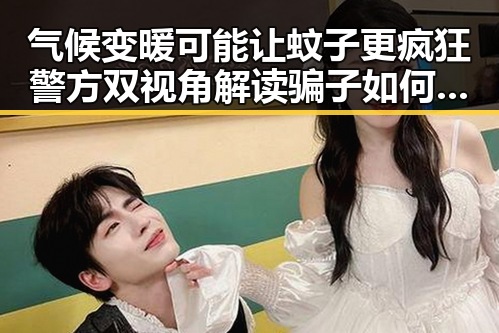 气候变暖可能让蚊子更疯狂警方双视角解读骗子如何让你乖乖转账