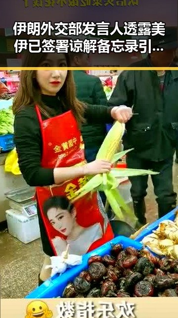 伊朗外交部发言人透露美伊已签署谅解备忘录引发关注，国家卫健委强调严格管理麻醉药品的最新措施