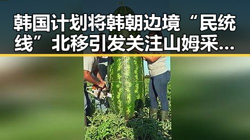 韩国计划将韩朝边境“民统线”北移引发关注 山姆采购官离职内幕揭晓